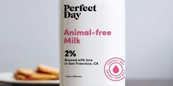 Animal-free Milk