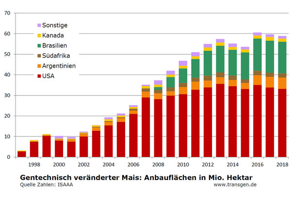 Anbauflächen gv-Mais bis 2018 Anbauflächen gv-Mais bis 2018