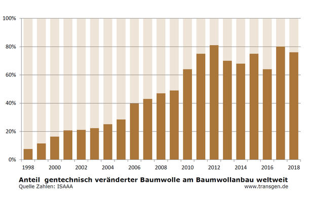 Anteil gv-Baumwolle am weltweiten Baumwollanbau Anteil gv-Baumwolle am weltweiten Baumwollanbau