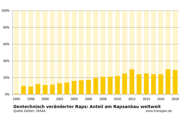 Anteil gv-Raps am weltweiten Rapsanbau Anteil gv-Raps am weltweiten Rapsanbau