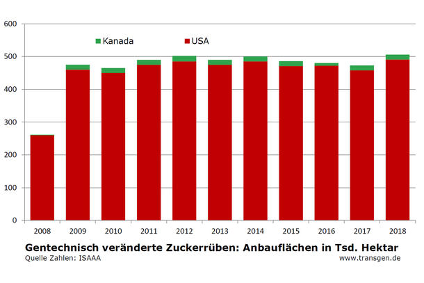 Anbauflächen gv-Zuckerrüben bis 2018 Anbauflächen gv-Zuckerrüben bis 2018