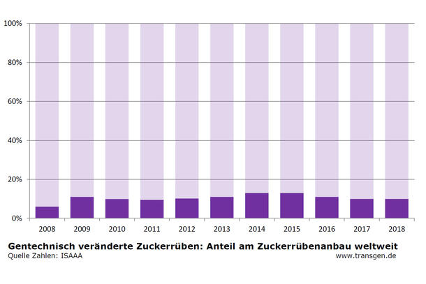 Anteil gv-Zuckerrüben am weltweiten Zuckerrübenanbau Anteil gv-Zuckerrüben am weltweiten Zuckerrübenanbau