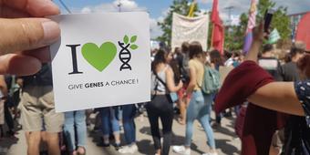 Fridays for Future Fridays for Future
