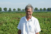 Freilandversuch Wageningen Freilandversuch Wageningen