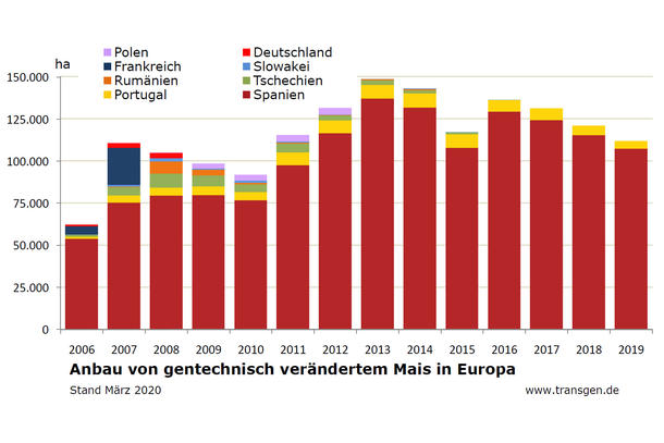 Anbau von gentechnisch verändertem Mais in Europa Stand: März 2020 Anbau von gentechnisch verändertem Mais in Europa Stand: März 2020