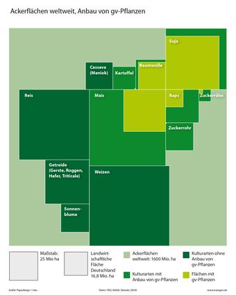 Anbauflächen nach Kulturarten