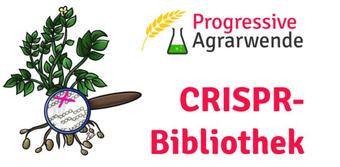 CRISPR Bibliothek