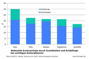 Weltweite Ernteverluste durch Krankheiten und Schädlinge, 2016/17