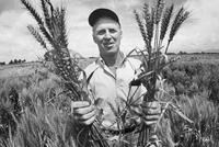 Norman Borlaug