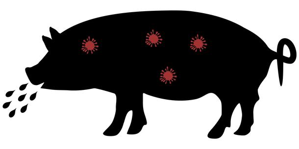 Schwein mit Viruserkrankung Schwein mit Viruserkrankung