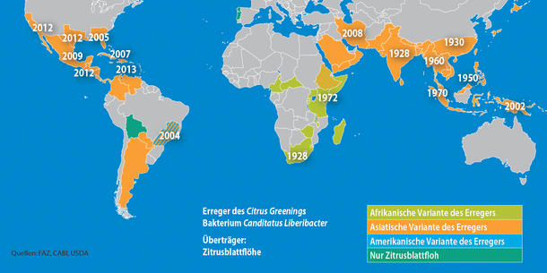 Verbreitung Citrus Greening weltweit Verbreitung Citrus Greening weltweit