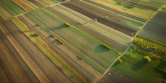 Landwirtschaft, Flächen