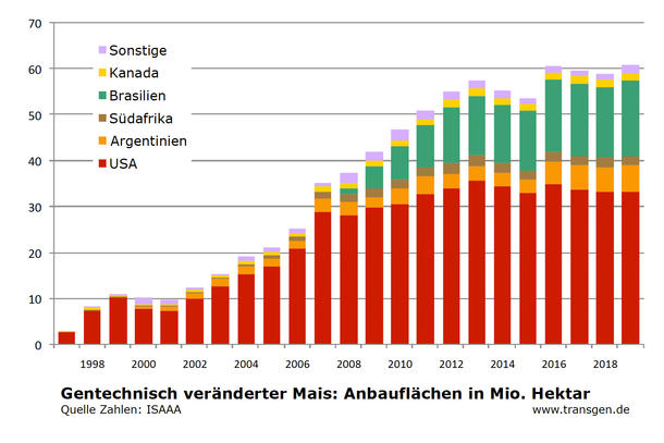 Anbau gv-Mais weltweit, Stand 2019 