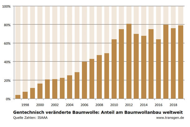 Anteil gv-Baumwolle weltweit, Stand 2019 Anteil gv-Baumwolle weltweit, Stand 2019