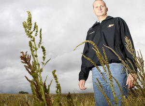 Waterhemp