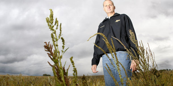 Waterhemp