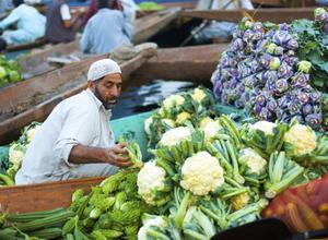 Gemüsehändler in Indien