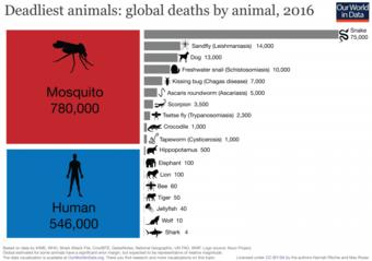 Die tödlichsten Tiere