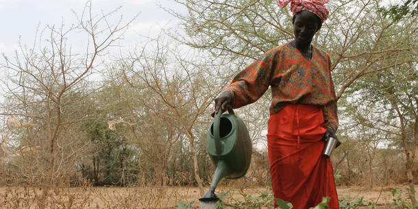 Senegal, Landwirtschaft