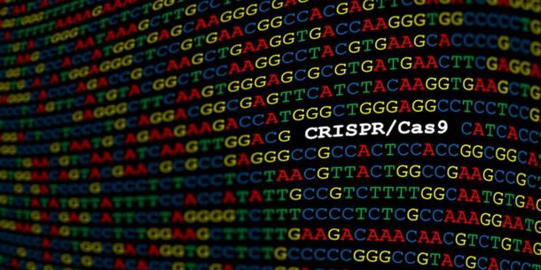 CRISPR/Cas CRISPR/Cas