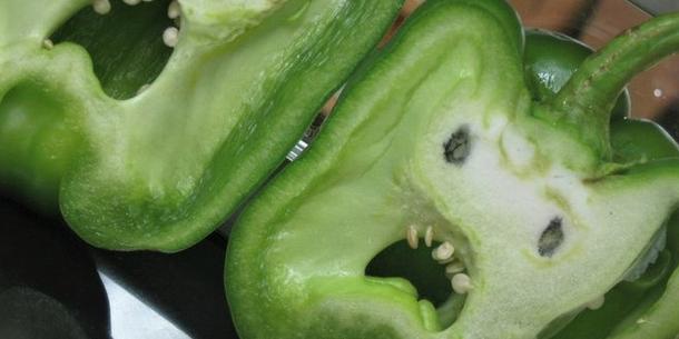 Monster Monster