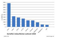 Kartoffel: Anbauflächen weltweit 2020