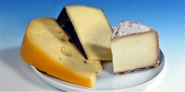 Käse Käse