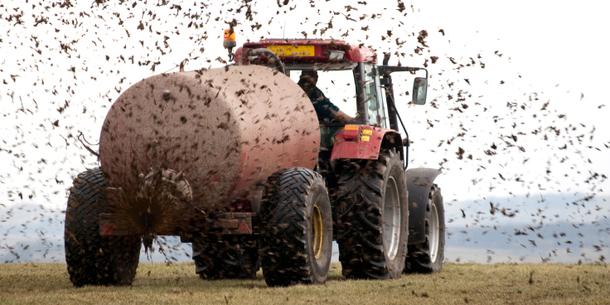 Landwirtschaft, Gülledüngung Landwirtschaft, Gülledüngung