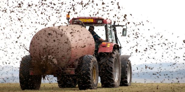Landwirtschaft, Gülledüngung Landwirtschaft, Gülledüngung