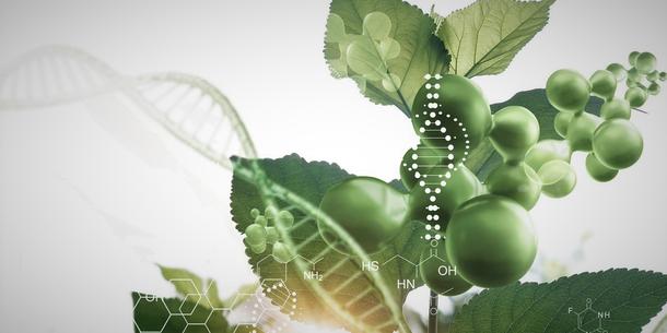 Pflanzenforschung DNA Pflanzenforschung DNA