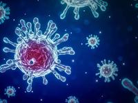 Corona Virus