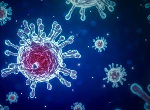 Corona Virus