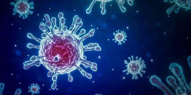 Corona Virus Corona Virus