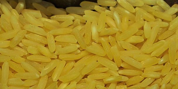 Goldener Reis
