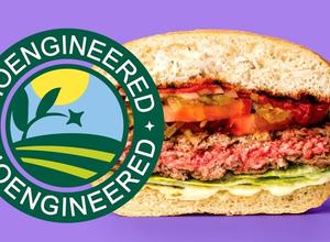 Impossible Burger mit Gentechnik-Kennzeichnung