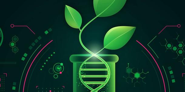 Pflanzenforschung DNA Pflanzenforschung DNA