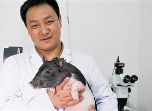 Mikropig