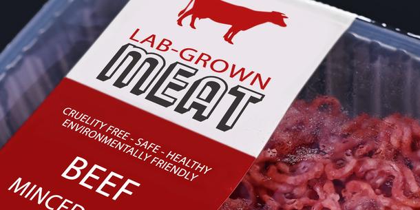Fleisch aus Zellkultur