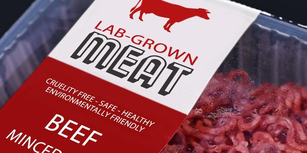 Fleisch aus Zellkultur Fleisch aus Zellkultur