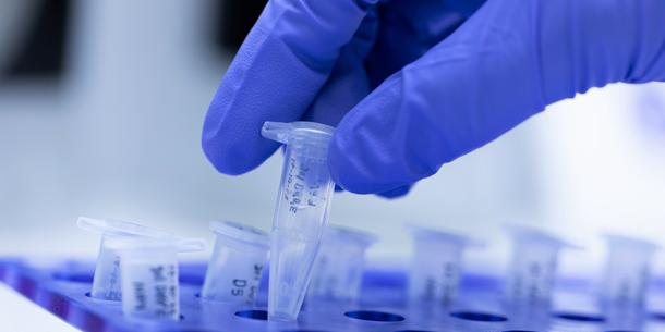 PCR PCR