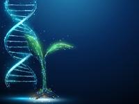 Pflanze mit DNA-Helix