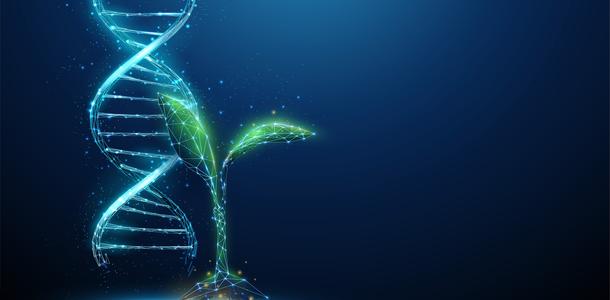 Pflanze mit DNA-Helix
