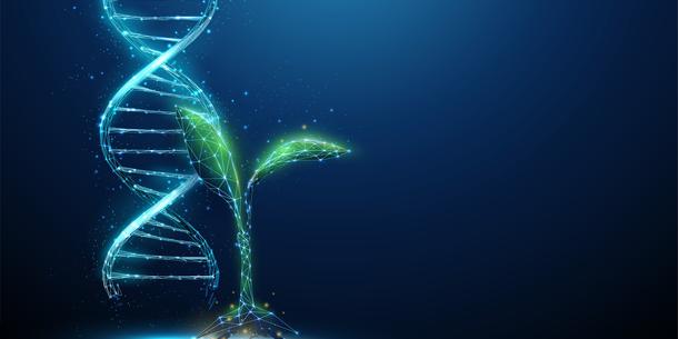 Pflanze mit DNA-Helix Pflanze mit DNA-Helix