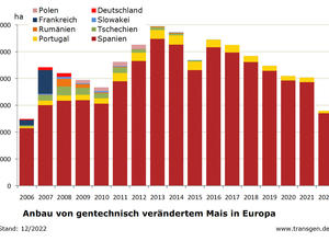 GVO-Anbau EU Stand 12/2022