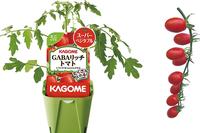 GABA angereicherte Tomate GABA angereicherte Tomate