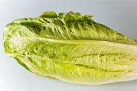 Romana Salat Romana Salat