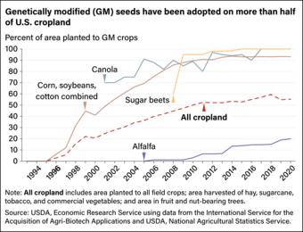 GM seeds in the US