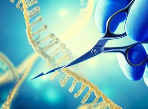 CRISPR schneidet DNA