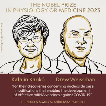 Nobelpreis Nobelpreis