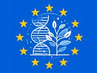 Pflanze mit DNA vor EU-Flagge